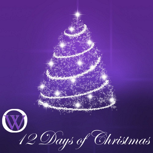 White outline of a Christmas, with white lights and garland, The text reads OW 12 Days of Christmas. The "OW" in the text is the Ordain Women logo.