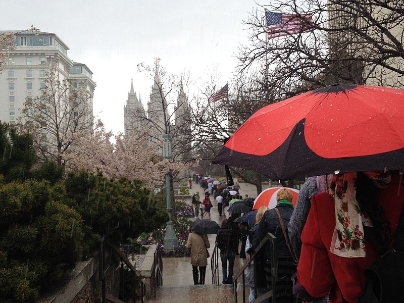 A line of people, many carrying umbrellas, walking toward the Salt Lake City, UT Temple, taken during OW's April 2014 Priesthood Action